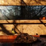 photo 2022-01-24 09-00-01