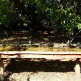 photo 2021-10-04 13-48-38