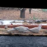 photo 2021-12-05 13-11-28