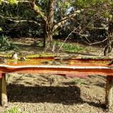 photo 2021-04-12 09-52-39