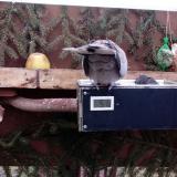 photo 2021-02-06 07-15-25