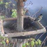 photo 2019-12-14 14-41-52