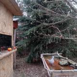 photo 2021-12-27 09-29-08