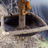 photo 2019-02-08 14-12-32