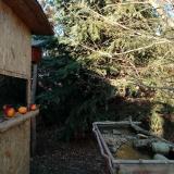 photo 2021-12-21 14-18-05