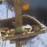 photo 2019-01-27 09-53-35