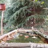 photo 2023-10-04 09-26-46