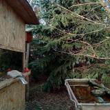 photo 2022-01-02 14-16-13