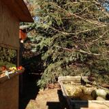 photo 2021-12-20 13-05-20