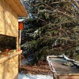 photo 2022-01-09 10-31-49