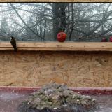 photo 2022-01-16 09-24-21