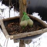 photo 2019-01-10 12-07-24