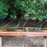 photo 2021-08-01 10-53-54