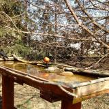 photo 2022-03-19 12-44-29