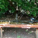 photo 2021-08-04 13-36-51