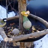 photo 2019-01-15 09-00-46