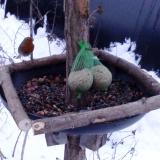 photo 2019-01-10 07-24-47