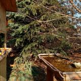 photo 2021-11-17 12-29-01