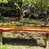 photo 2021-04-21 10-07-04