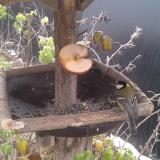 photo 2019-12-04 10-57-57