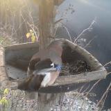 photo 2019-12-29 08-23-48