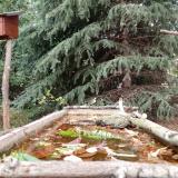 photo 2023-10-20 14-31-23