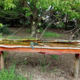 photo 2021-04-29 13-05-05