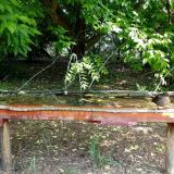 photo 2021-05-25 10-31-42