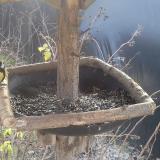 photo 2019-12-27 11-13-44