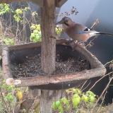 photo 2019-12-12 11-30-41