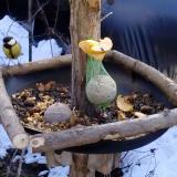 photo 2019-01-14 11-46-05