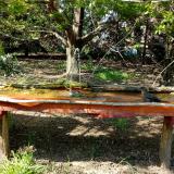 photo 2021-04-24 15-41-00