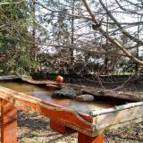 photo 2022-03-06 09-12-34