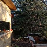 photo 2022-01-01 08-24-26