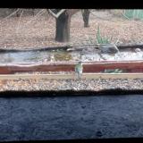 photo 2021-12-10 12-43-13