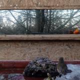 photo 2022-01-24 16-17-56