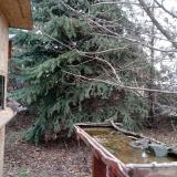 photo 2021-12-12 09-52-54