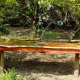 photo 2021-04-25 14-06-38