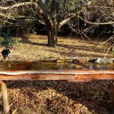 photo 2021-10-27 09-28-43