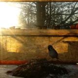 photo 2022-01-19 08-20-42