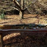 photo 2021-10-29 15-04-55