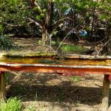 photo 2021-04-22 14-31-47