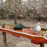 photo 2021-03-25 09-14-34