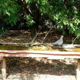 photo 2021-09-16 13-23-19