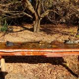 photo 2021-10-27 10-58-55