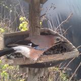 photo 2019-12-22 11-29-31