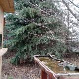 photo 2021-12-12 11-01-24