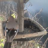 photo 2019-12-25 14-34-25