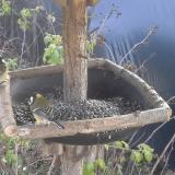 photo 2019-12-15 11-55-09