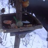 photo 2019-01-24 07-07-40